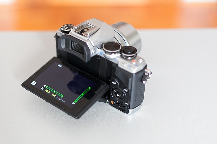 Olympus OM-D E-M10 (13).jpg